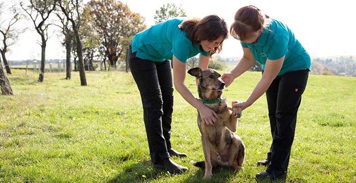 Anja und Ilona mit Hund