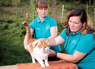 Claudia und Ilona mit Katze