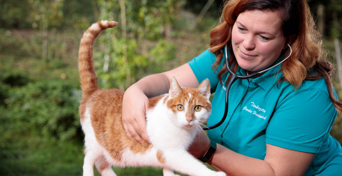 Claudia mit Katze