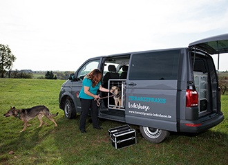 Mobile Praxis mit Hund und Transportbox